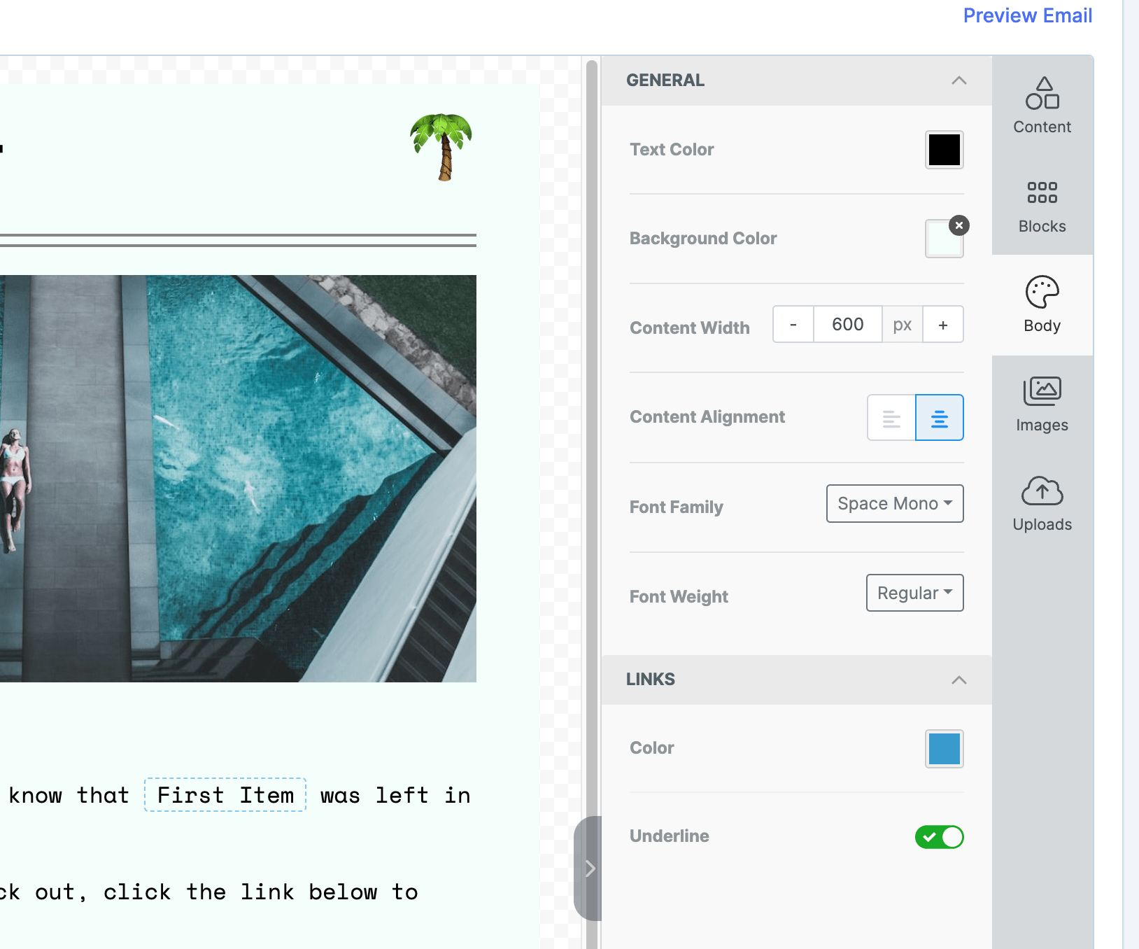 A close up of the Body settings for an email where you can change the colors, width, font, etc.