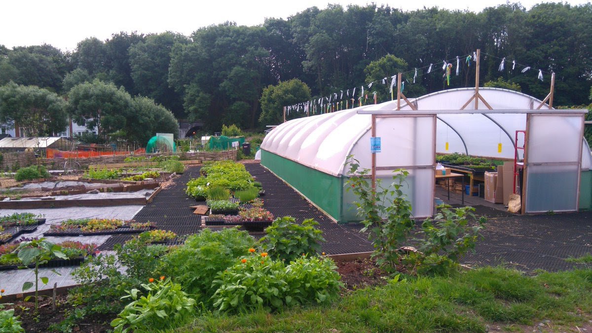 propagation place polytunnel
