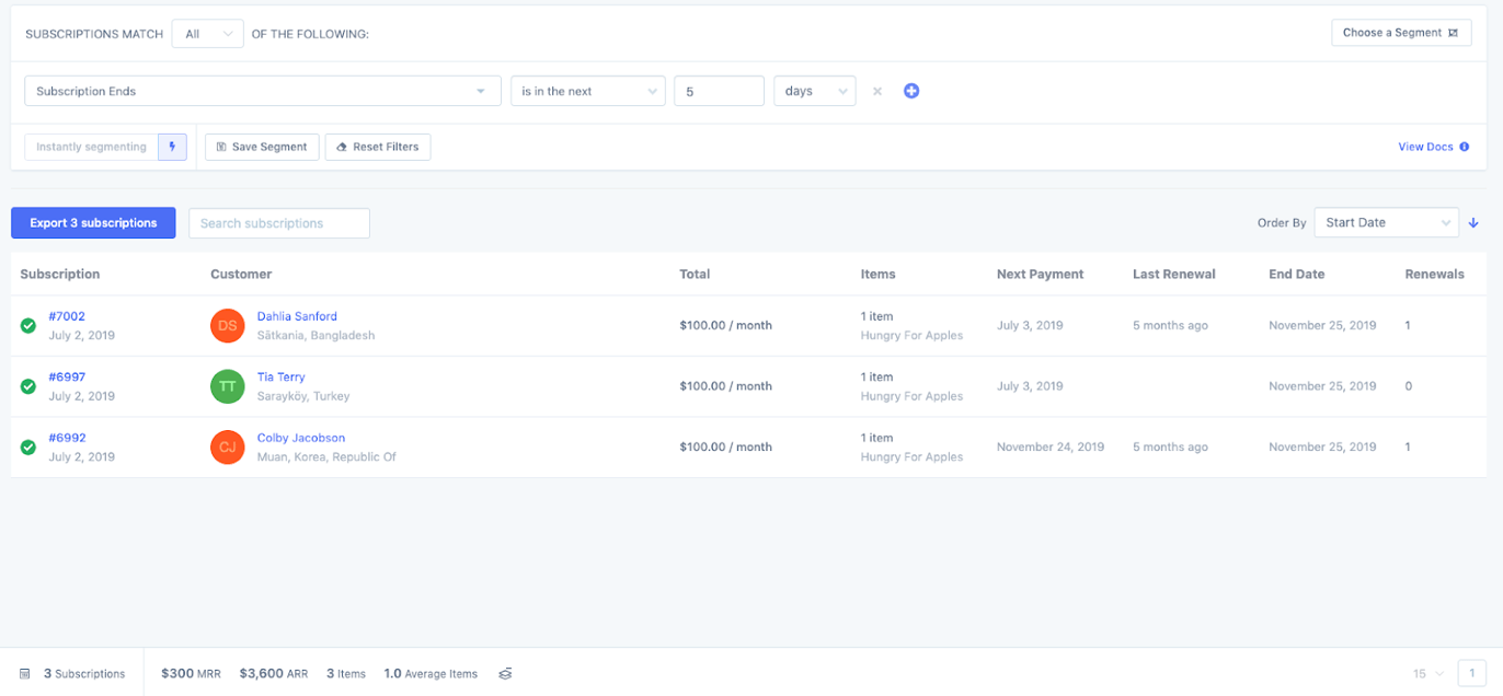 metorik subscription segmenting