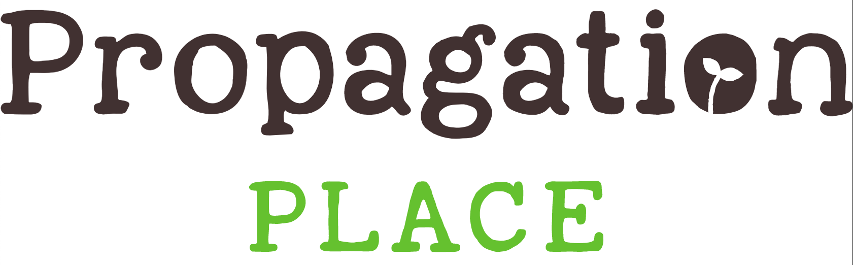 Propagation Place