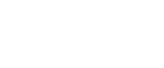 10zingdigital Logo