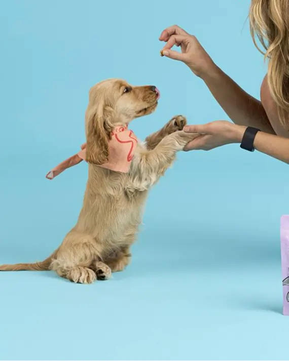 Scratch integration background