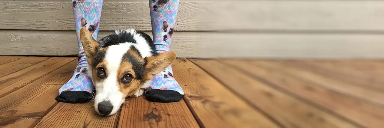 PupSocks 🇺🇸 testimonial background